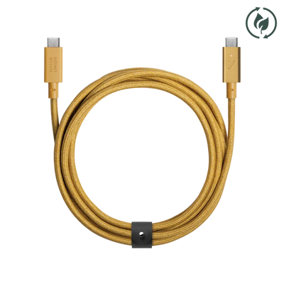 Кабель для зарядки и передачи данных 2.4 метра USB-C to USB-C Native Union Belt Cable Pro 240W Kraft BELT-PRO2-KFT-NP фото
