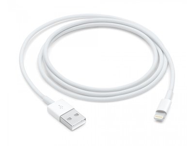 Оригинальный белый кабель Apple Lightning to USB для iPhone 1m (MD818), Белый